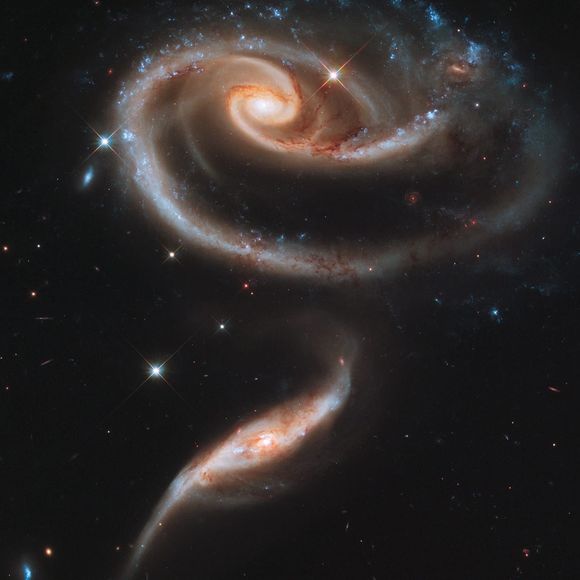 Meet your Posher, Mindy - Picture 1 of 1